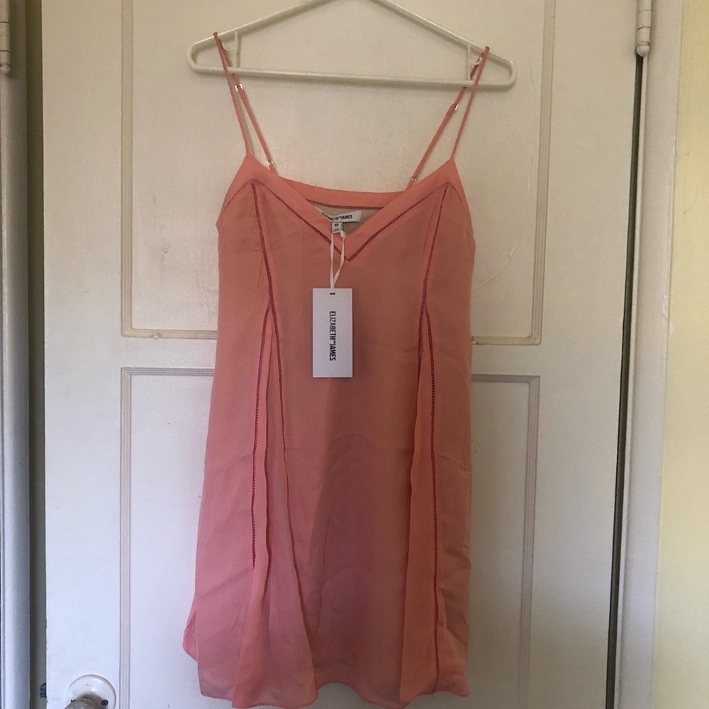 Elizabeth and James silk dress